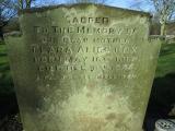 image of grave number 381115